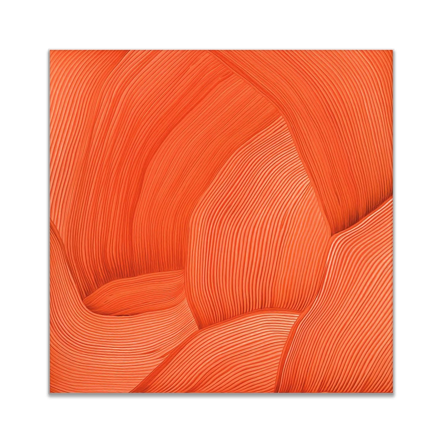 3D Line Drawing 36" x 36" Fine Art Canvas